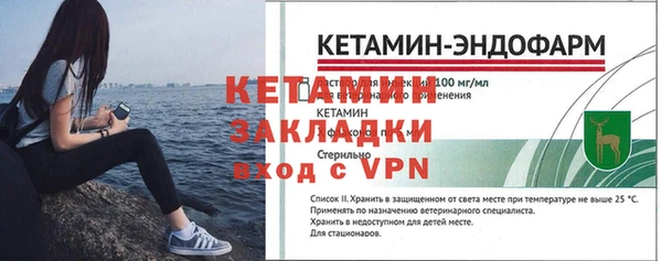 прущие грибы Бородино