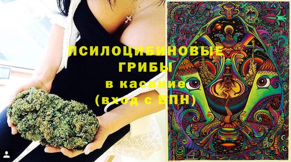 дурь Верхний Тагил