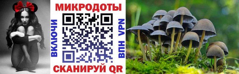Галлюциногенные грибы Psilocybe  купить закладку  Павловская 